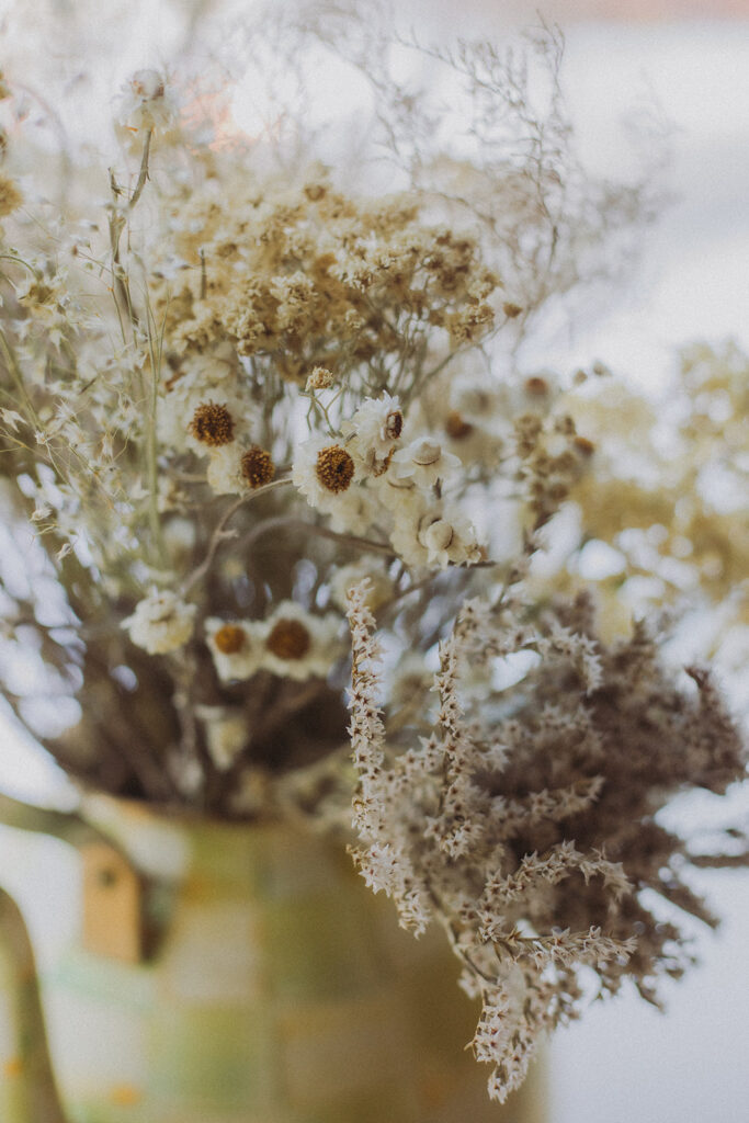 Interior photography at Intuitively Wild in High Falls, New York, photographed by Julieanne Browning of Pine & Fable Photography.